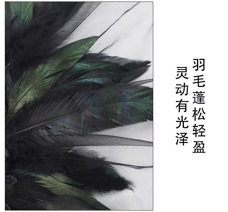 Halloween feather cloak black fur collar 2026 gauze cloak long skirt with stage costume buttons.